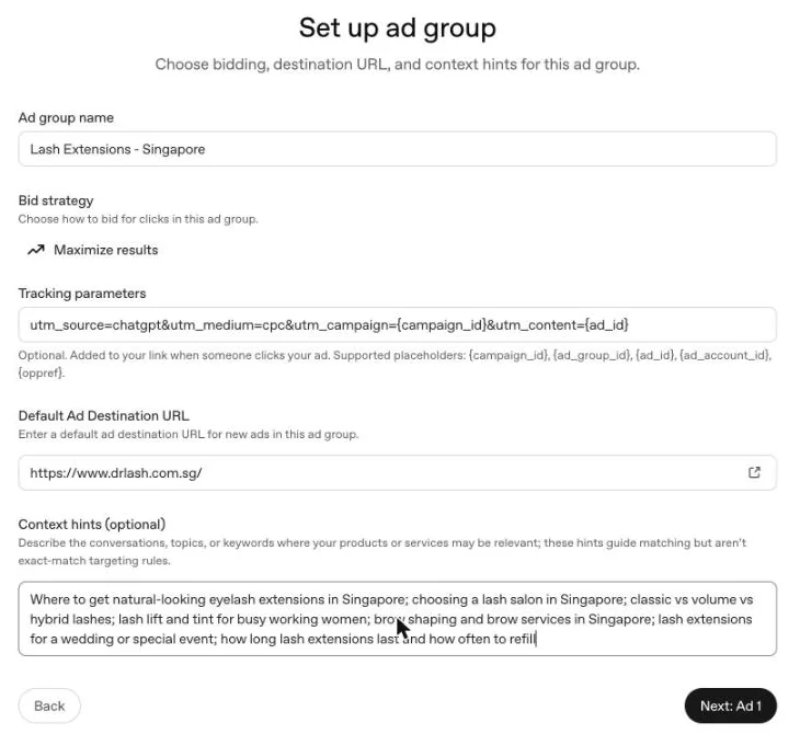 Ad group setup with name, bid strategy, tracking parameters, default destination URL and context hints