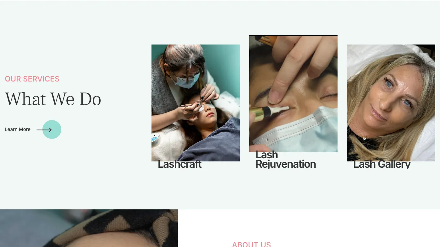 DR. LASH homepage services section on the 2025 site